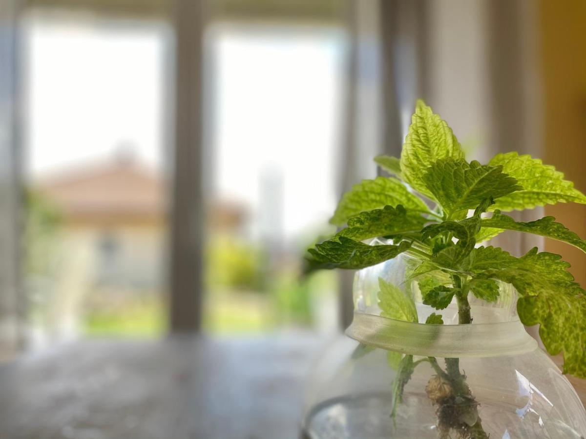 Apartmenthaus Luett Meer 루도프 외부 사진